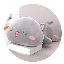 Load image into Gallery viewer, Animal Smile Cat Pillow
